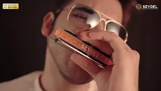 A Funky performance with SEYDEL NONSLIDER Chromatic Harmonica - Kamyar Bayat