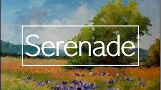 Schubert ~ Serenade ~ One Hour (Extended)