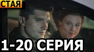 Стая 1-20 серия - анонс и дата выхода (2022) НТВ