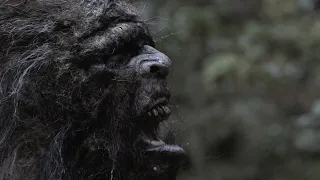 Top 3 Scary Bigfoot Screams Captured On Video