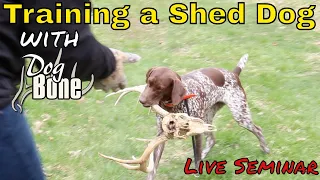Antler Hunting Dogs Training: Live Seminar
