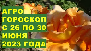 Агрогороскоп с 26 по 30 июня 2023 года. Агрогороскоп з 26 по 30 червня 2023 року