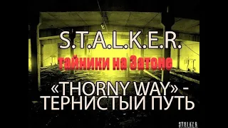 тайники на Затоне, S.T.A.L.K.E.R. Тернистый путь