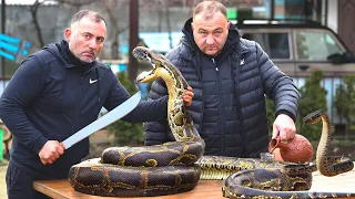 Yılan barbekü. Ben ızgarada SNAKE pişiren