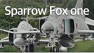 百里基地 F-4 ファントム 実弾装着  “  Sparrow Fox one  “  JASDF 301sq F-4 Phantoms