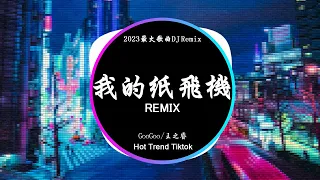 GooGoo /王之睿 - 我的紙飛機 (DJ抖音 Remix)【抖音热门歌曲】『我的紙飛機呀飛呀飛飛到了蘆蕩邊。』抖音 Hot Tiktok Douyin | Baozhang Remix