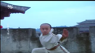 Shaolin Kung Fu is invincible🔥 Even a group of thugs couldn't defeat a small monk!