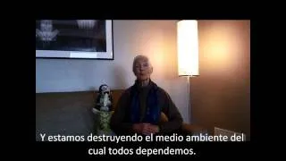 Mensaje de la dra. Jane Goodall en el Día Internacional de la Paz