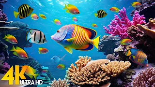 4K Coral World - Relaxing Music Underwater Ocean with Tropical Coral Reef Fish - 4K Video Ultra HD