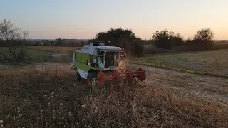 Claas Dominator 76 на жнивах сої у 2023 році в 4K (Dji mavic air 2, Ukraine)