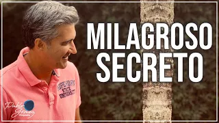 Milagroso secreto mente corazón para el manejo de la ansiedad / Pablo Gómez psiquiatra.