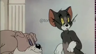 Tom and Jerry - Quiet Please #5