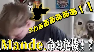 「とある生物」襲来でMande、九死に一生！？/ SCARZクリップ集【Apex Legends / エーペックス  / 日本語字幕】