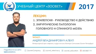 Албул А. В. в УЦ «Зоовет» | Эпилепсия, хирургические патологии головного и спинного мозга, ч. 2