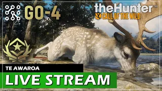 POSLEDNÍ STREAM COTW | The Hunter: Call of the wild CZ  | Lets play | Česky