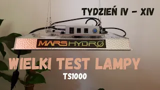 Wielki test lampy TS1000 tydzień IV -  XIV