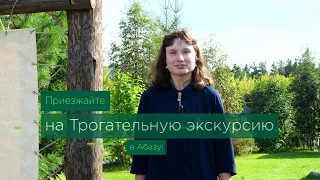 Трогательная экскурсия "Кедровые истории" | Развитие туризма в Сибири