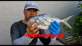 Pompano Catch Clean Cook! Florida's MOST Expensive Fish!