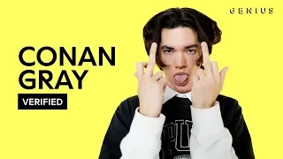 Conan Gray "The King" Official Lyrics & Meaning | Verified