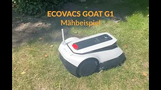 ECOVACS GOAT G1 im Mähtest