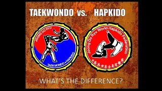 What Is the Difference Between Taekwondo and Hapkido?