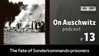 "On Auschwitz" (13): The fate of Sonderkommando prisoners