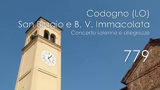 Le campane di Codogno (LO) - Collegiata di S. Biagio e B. V. Immacolata