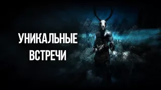 Skyrim РЕДКИЕ И УНИКАЛЬНЫЕ ВСТРЕЧИ