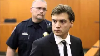 Into The Wild actor Emile Hirsch pleads guilty to assault