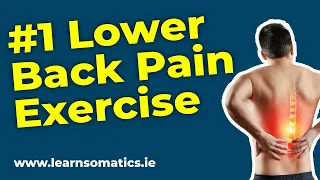 Relieve Your Lower Back Pain Now [Without Stretching]