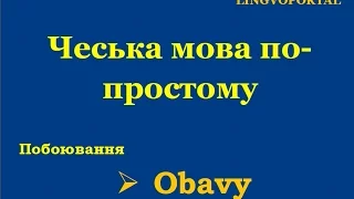 Чеська мова. Щоденні вислови - Побоювання