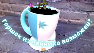 горшок своими руками из чайника/DIY flower pot