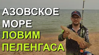 Ловлю пеленгаса на Азовском море.  Тестирую шамат из EVA пены и крючки Trabucco.