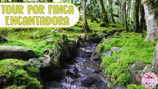 Recorrido por una finca con un bosque encantado │Candy Bu