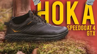 HOKA SPEEDGOAT 4 GTX ОБЗОР. ТРЕЙЛОВЫЕ БЕГОВЫЕ КРОССОВКИ НА ЗИМУ 2022