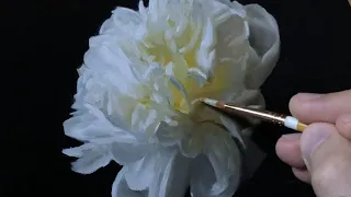 White Peony II | Oil Painting Demonstration