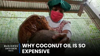 Why Coconut Oil Is So Expensive | So Expensive