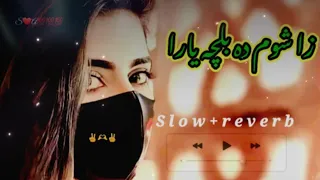 za shom da balcha yara زا شوم دہ بل چہ یارا | hit song poshto ghazal [slow+reverb] MS