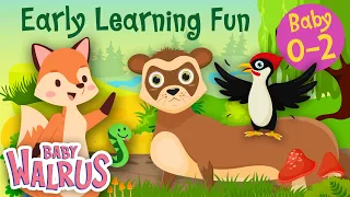 Early Learning Fun Collection | Forest Animals and their Sounds | Educational