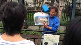20150701 | 旭山動物園 |48回目の開園記念日 坂東園長マルチポイントガイド
