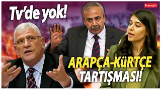 TBMM'de Kürtçe-Arapça tartışması! Sırrı Süreyya Önder'den çok sert tepki!