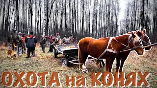 ОХОТА на КОНЯХ.