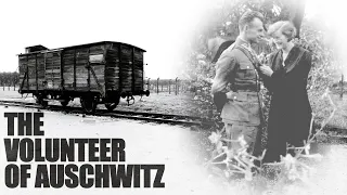 Witold Pilecki: The Volunteer of Auschwitz