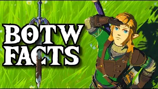 19 Facts You Didn't Know About Zelda: Breath of the Wild (w the Bread Pirate)!