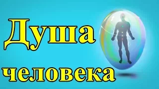 Душа человека