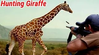 Giraffe hunting | Top kill shot Giraffe Compilation | Ultimate hunting Giraffe | killing Giraffe,