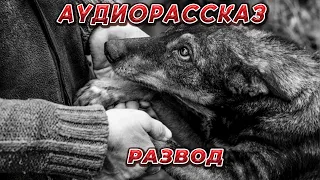 АУДИОРАССКАЗ " РАЗВОД"