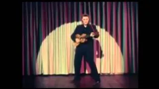 Elvis - blue shred shoes