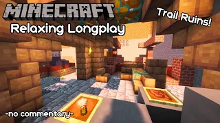 Excavating Trail Ruins | Minecraft Relaxing Longplay | (no commentary)