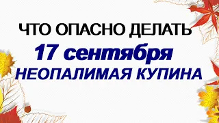 17 сентября. ЛУКОВ ДЕНЬ Почему НЕЛЬЗЯ давать деньги в ДОЛГ.Народные ПРИМЕТЫ